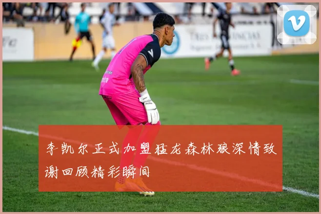 李凯尔正式加盟猛龙森林狼深情致谢回顾精彩瞬间